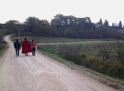 Via Francigena da Siena a San Quirico d’Orcia