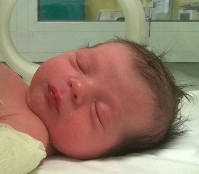 Benvenuto Francesco Milani