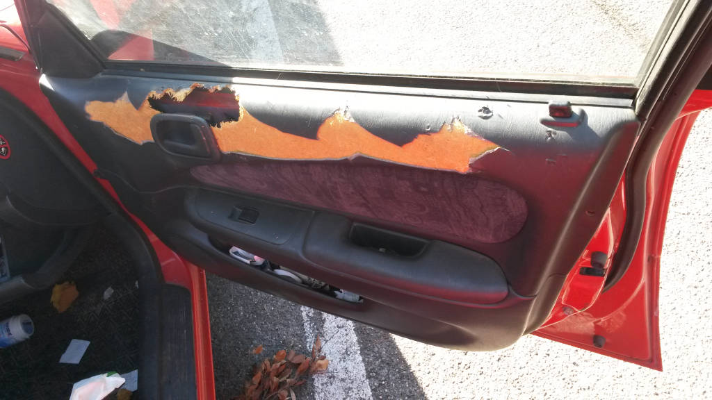 cane chiuso auto soccorso