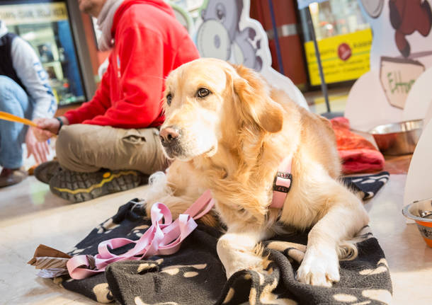 Cani da pet therapy alla Coop