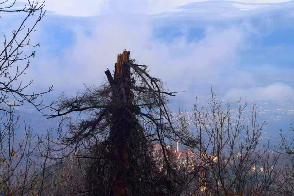 Un fulmine a ciel, quasi, sereno