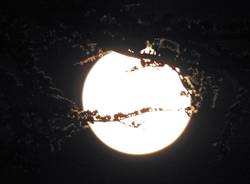 Luna piena ad Albizzate