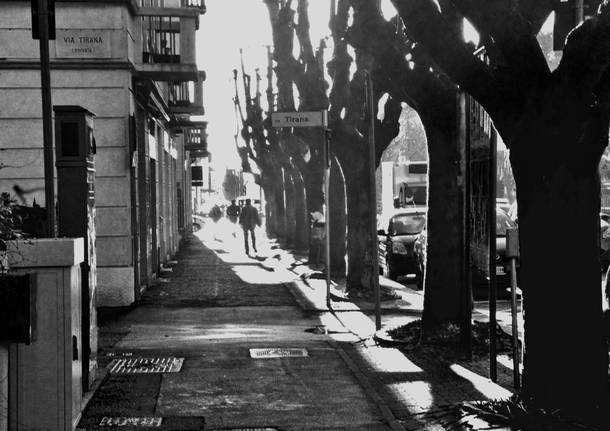 Scorci di un viale varesino.