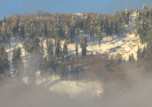 Prima neve al Campo dei fiori