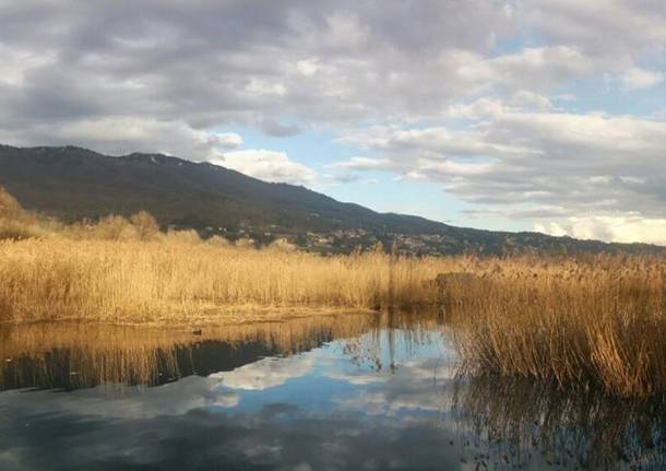 Un bacio tra lago e fiume