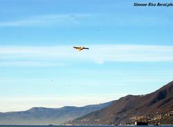 Canadair al lavoro per la Val Vigezzo