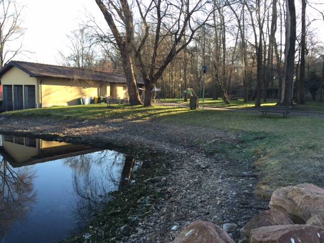 Cazzago Brabbia, il lago d'inverno