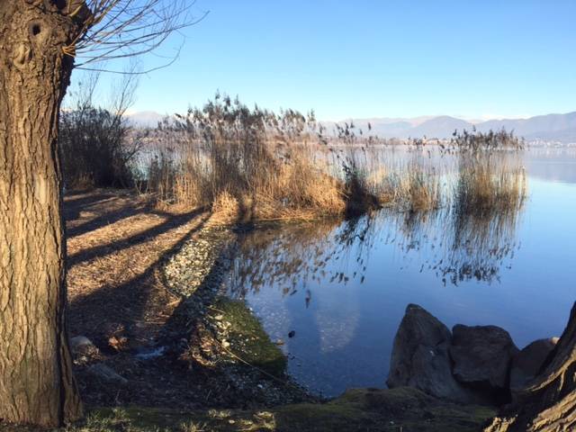 Cazzago Brabbia, il laghttp://www.varesenews.it/photogallery_new/images/2016/02/cazzago-brabbia-il-lago-d-inverno-512223.160x119.jpgo d'inverno