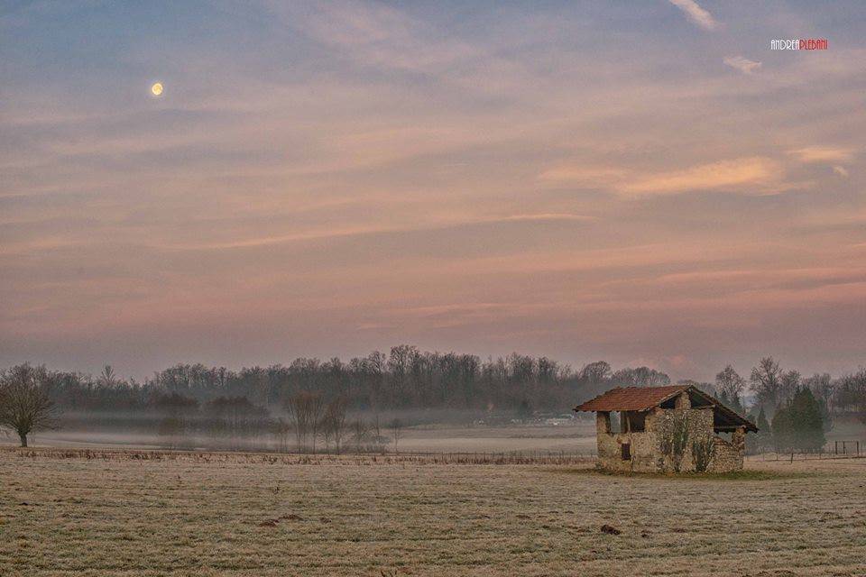 Colore rosa