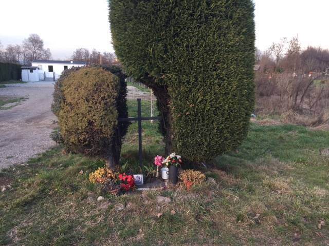 comunità marco riva busto arsizio