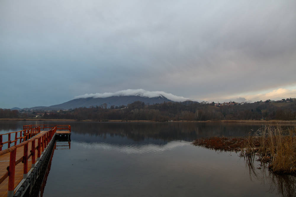 daniele venegoni foto