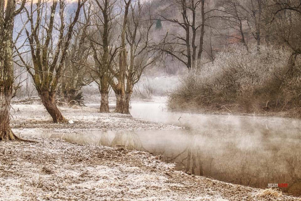 Foto del giorno febbraio 2016