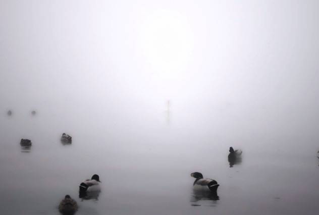 il fascino della nebbia al lago di Varese