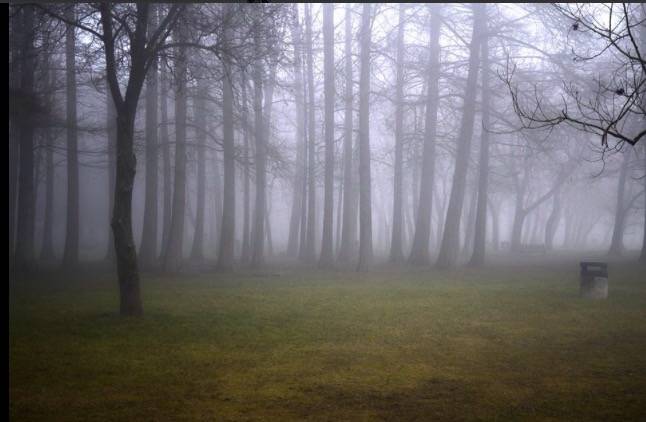 il fascino della nebbia al lago di Varese