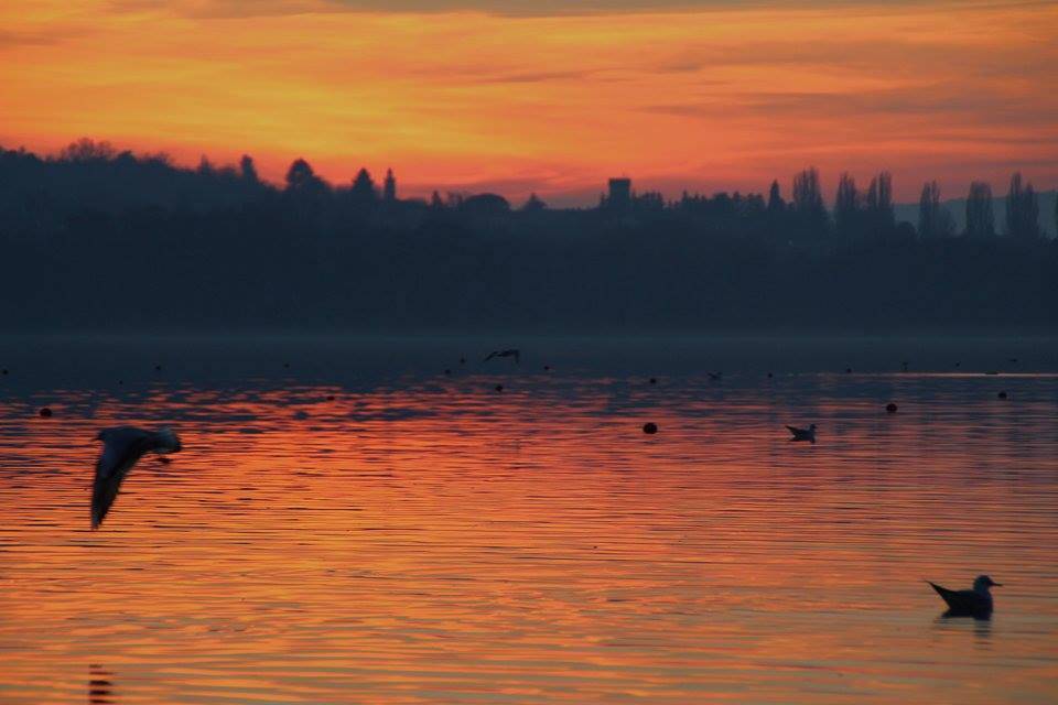 Il lago di Varese al tramonto 