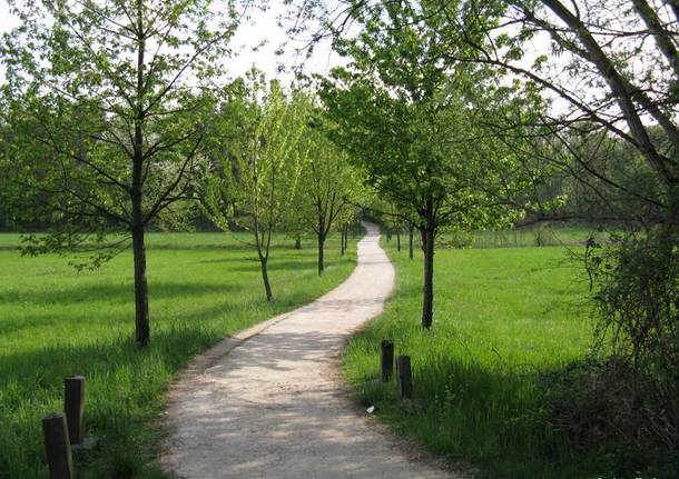 Il Parco delle Graone