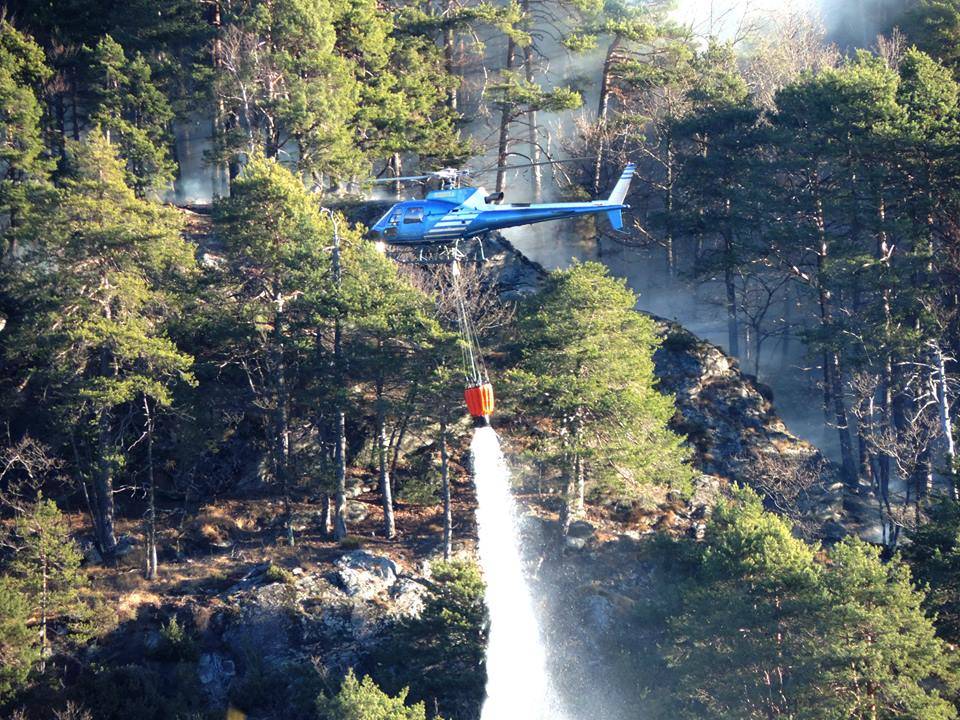 Incendi in Valle Vigezzo 