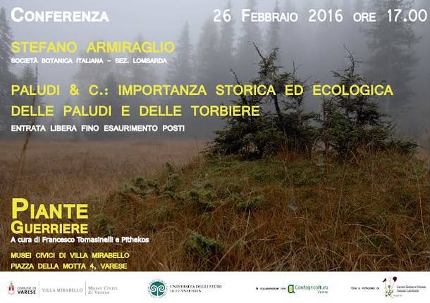 incontro su paludi e torbiere