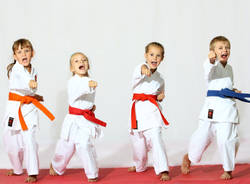 karate generiche