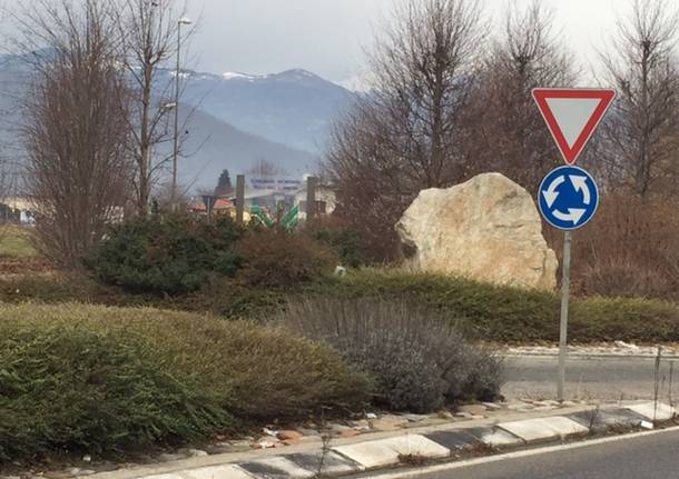 Il bosco nella rotonda del Cucco