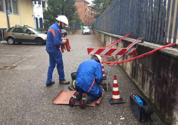 liceo linguistico black out varese