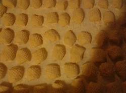 masciago primo fata degli gnocchi