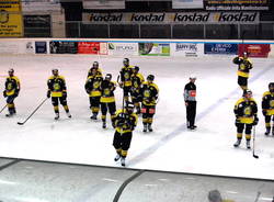mastini hc varese hockey su ghiaccio