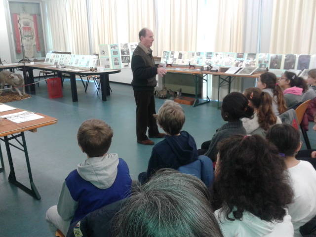 Mostra sul lupo Jerago
