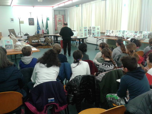 Mostra sul lupo Jerago