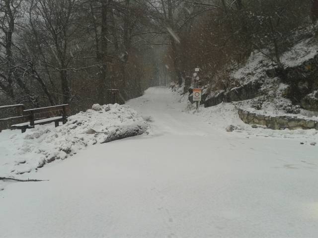 Neve al Campo dei Fiori, febbraio 2016