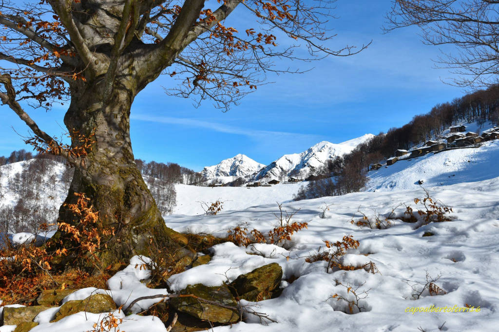 Neve all'Alpone di Curiglia 