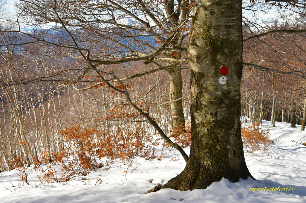 Neve all'Alpone di Curiglia 
