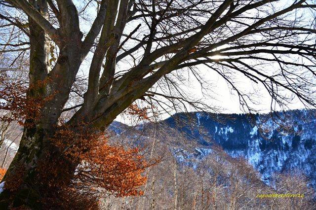 Neve all'Alpone di Curiglia 