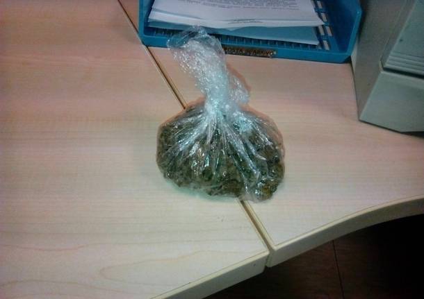 Polizia scopre piantagione di Marijuana