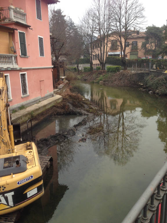 Pulizia del fiume Bardello