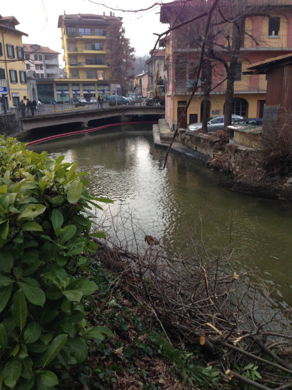 Pulizia del fiume Bardello
