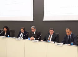 regione lombardia cattaneo girelli
