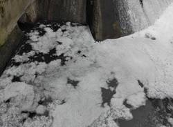 schiuma olona legnano 17 febbraio 2016