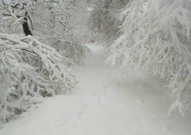 Timidi fiocchi di neve sulla Valganna