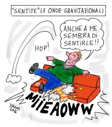 Vignette Pierre Ley
