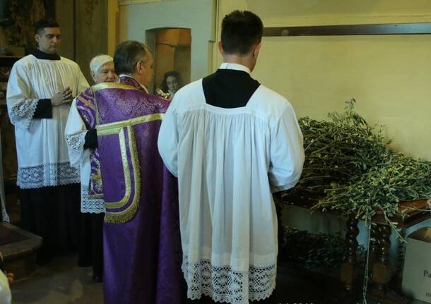 Processione delle Palme marzo 2016