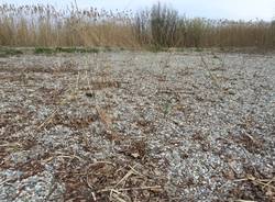 Acqua da ripulire? Ci pensa la "cannetta del lago"