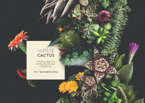agricola varese cactus