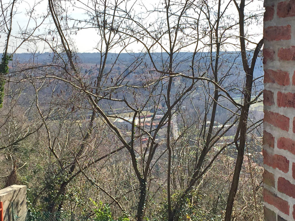 Bizzozero, bella e (mi)sconosciuta