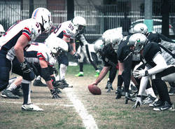 blue storms busto frogs legnano football
