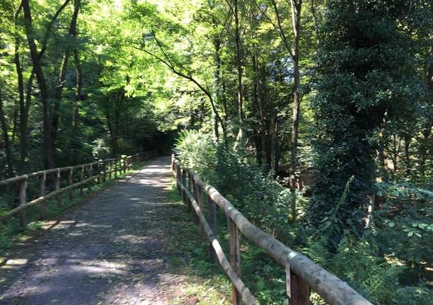 Cadegliano Viconago e il Parco dell'Argentera