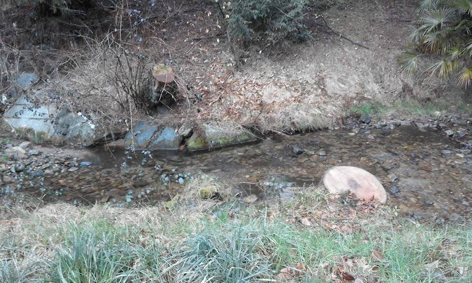 cadegliano viconago, parco argentera, taglio piante marzo 2016