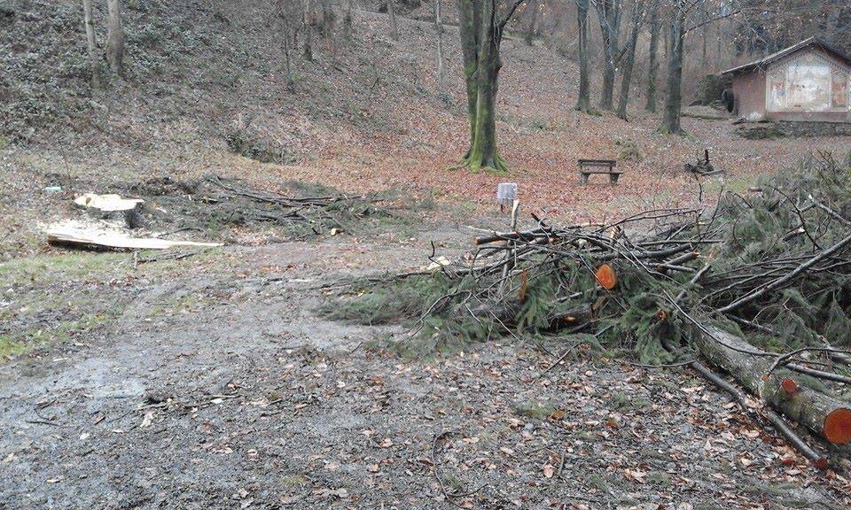 cadegliano viconago, parco argentera, taglio piante marzo 2016