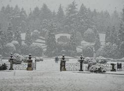 Un po\' di foto dai giardini Estensi