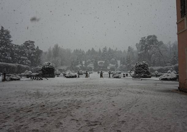 Un po’ di foto dai giardini Estensi sotto la neve